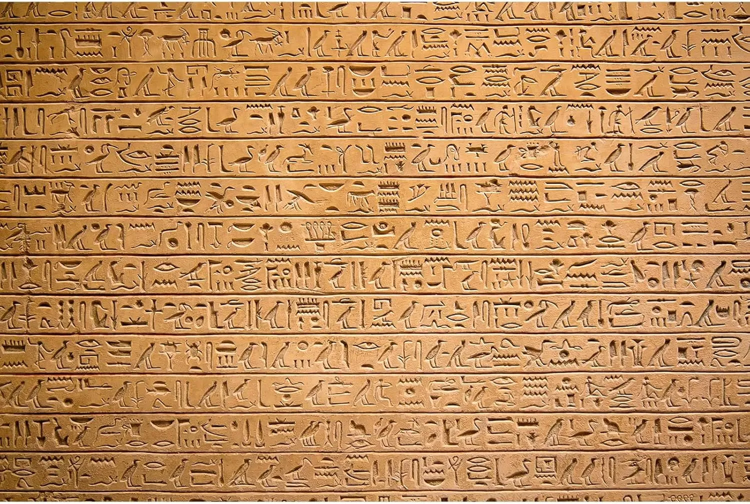 7x5ft Egypt Hieroglyphs Backdrop Ancient Egyptians Civilization Photography Background Egyptian Art Photos Archaeology History Course Culture Background Mural Travel Backdrop Portraits Photo
