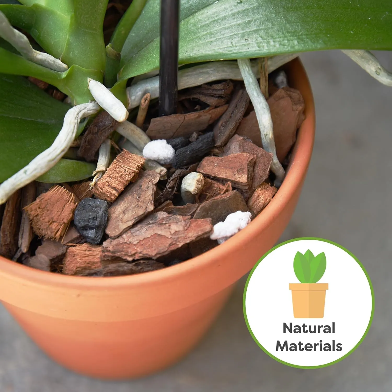 All Natural Orchid Potting Mix 4qts. by Perfect Plants | Hand Mixed in Small Batches | Great for Phalaenopsis of All Kinds
