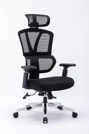 Chair Master Ergonomic High Back Mesh Office Chair, 3D Armrest, Adjustable Headrest, Variable Tilt (Nylon Casters)