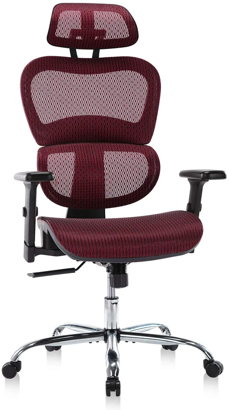 EDX Ergonomic Office Chair, High Back Mesh Chair Computer Desk Chair with Lumbar Support and 3D Adjustable Headrest and Armrests for Home Office, Conference Room, Reception Room, Gaming Room (Burgundy)