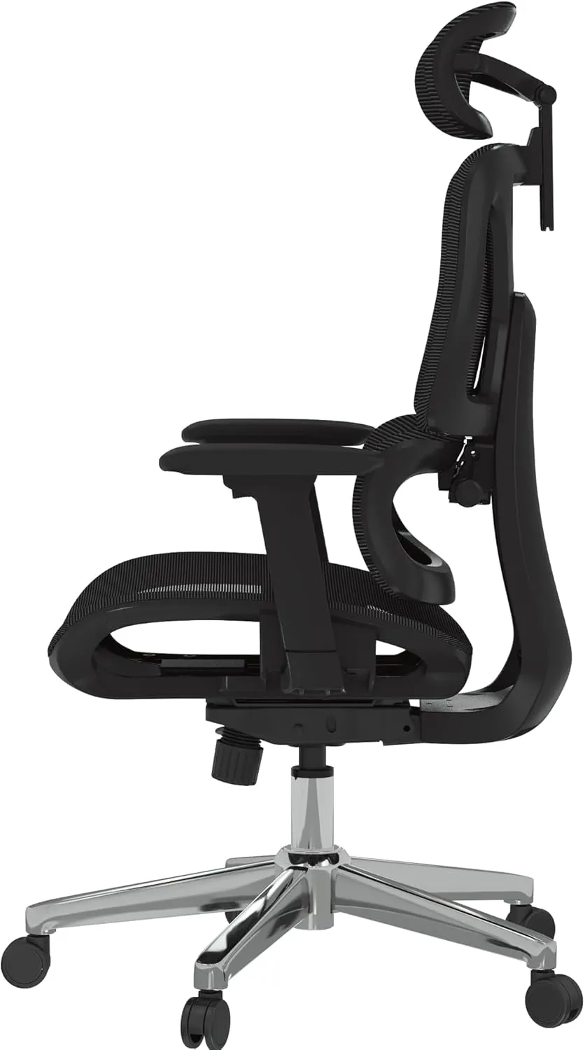 FLEXISPOT ErgoX Premium Ergonomic Office Chair - Adjustable 3D Armrests, Dynamic Lumbar Support, Recline & Tilt Function, Mesh Seat, for Home & Office Use,Black