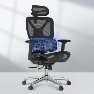 FLEXISPOT ErgoX Premium Ergonomic Office Chair - Adjustable 3D Armrests, Dynamic Lumbar Support, Recline & Tilt Function, Mesh Seat, for Home & Office Use,Black