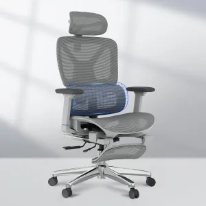FLEXISPOT Premium Ergonomic Office Chair with Footrest- Adjustable 3D Armrests, Dynamic Lumbar Support, Recline & Tilt Function, Mesh Seat, for Home & Office Use, OC4-SD Light Grey