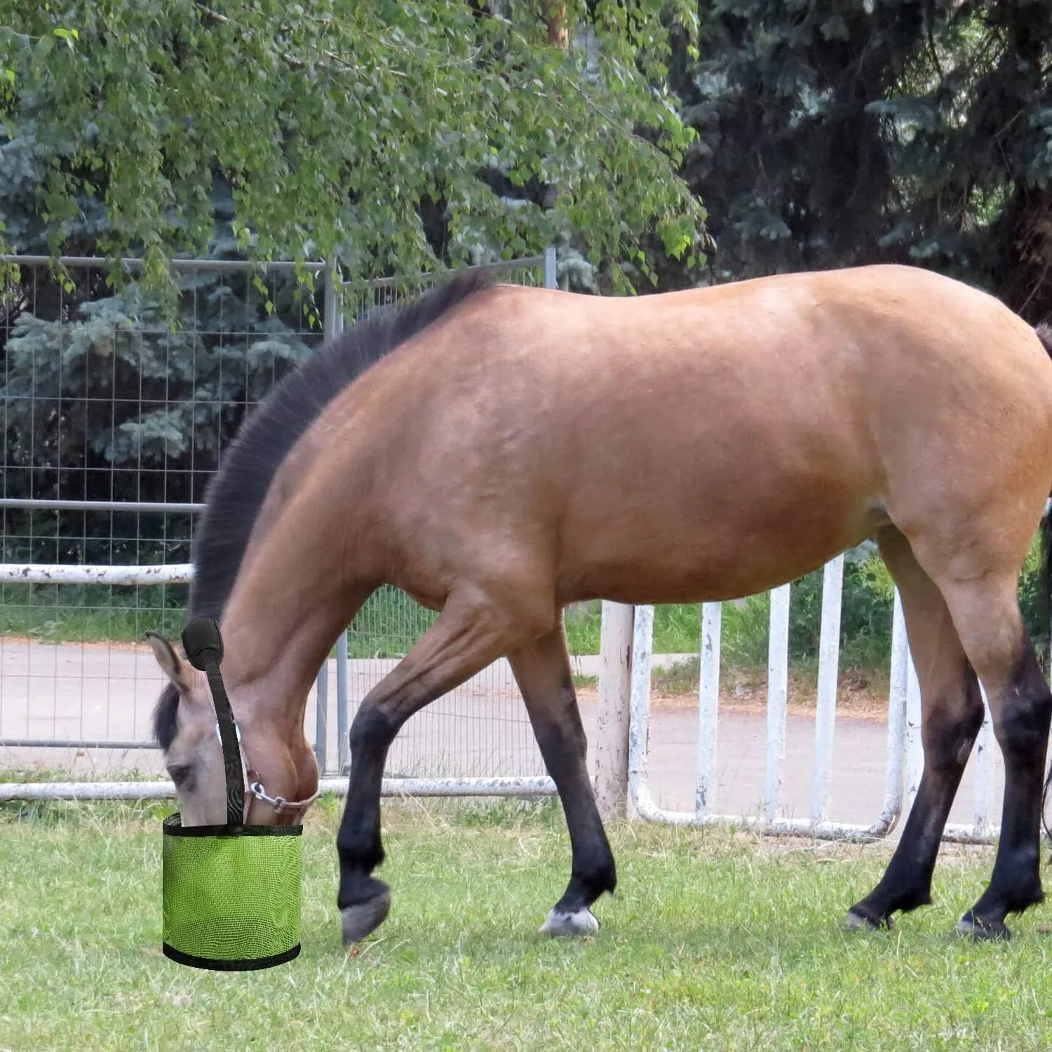 Horse Feed Bag Heavy Duty Textilene Mesh Feed Rite Bag with Adjustable Strap and Comfortable Neck Pad,Reinforced Bottom Stitching,Quick Clip Buckle and Spill-Proof Grain Feed Bag(Green,L)
