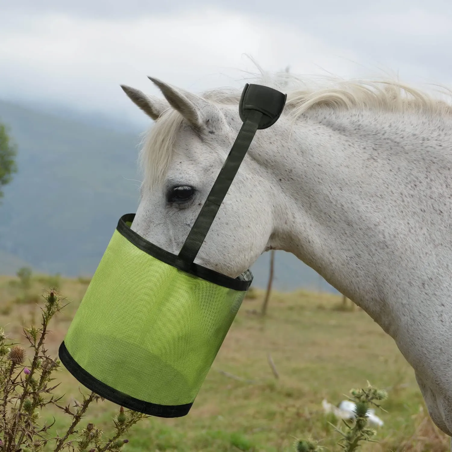 Horse Feed Bag Heavy Duty Textilene Mesh Feed Rite Bag with Adjustable Strap and Comfortable Neck Pad,Reinforced Bottom Stitching,Quick Clip Buckle and Spill-Proof Grain Feed Bag(Green,L)