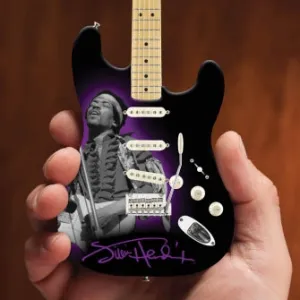 Jimi Hendrix Photo Tribute Fender(TM) Stratocaster(TM)
