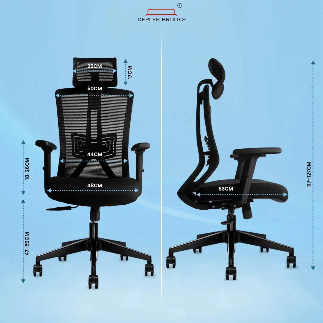Kepler Brooks Regalia High Back Mesh Office Chair (Black)