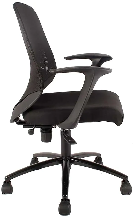 Low Back Executive Office Chair with Nylon Base