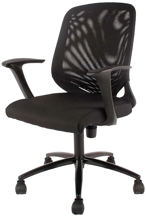 Low Back Executive Office Chair with Nylon Base