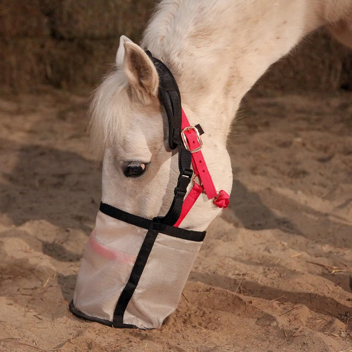 Majestic Ally Horse Feed Bag, Heavy Duty Nylon Mesh Grain Feed Bag, Adjustable Strap with Durable Snap and Elastic Straps, Comfort Neck Pad and Nose Pad- Large (Full, Black)