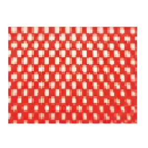 Mesh Equipment Bag w/Shoulder Strap Red