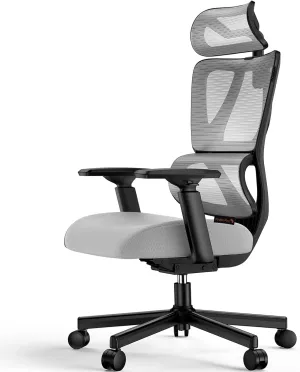 ProtoArc Ergonomic Office Chair, EC100 Big and Tall Mesh Computer Desk Chair with 30% Thicker Saddle Shaped Spring Cushion, Lumbar Support, Adjustable Headrest, Armrest for Home and Office - Gray