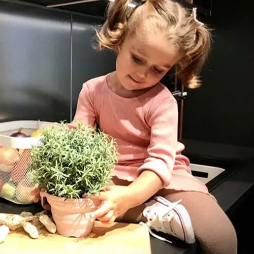 Scrunch Seedling Pot and Trowel - Colour Choices
