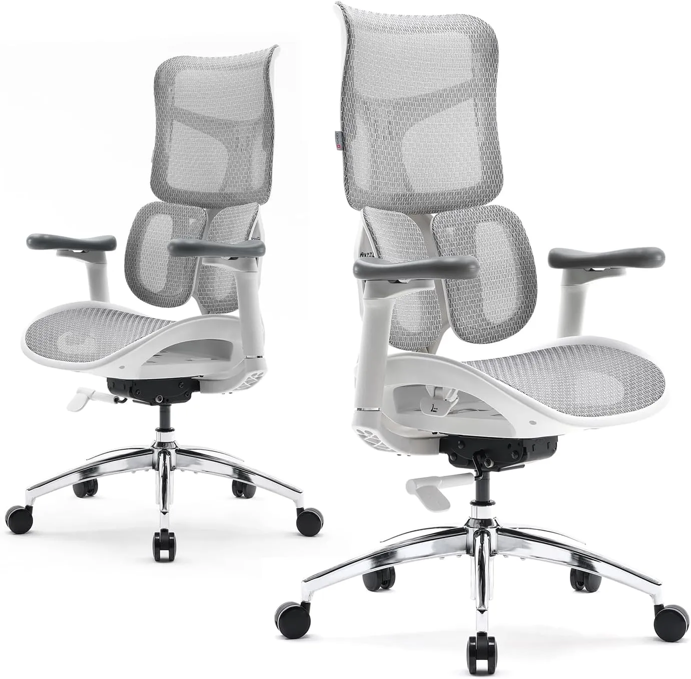 SIHOO Doro S100 Ergonomic Office Chair - with Dual Dynamic Lumbar Support, 5-Level Adjustable Backrest, 4D Coordinated Armrests, 135-degree Max. Recline Angle, Suitable for Home Office (S100 White)