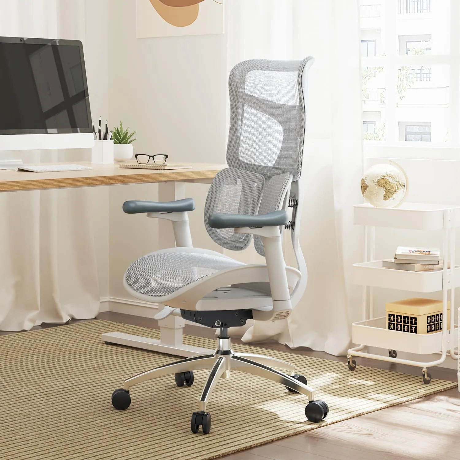 SIHOO Doro S100 Ergonomic Office Chair - with Dual Dynamic Lumbar Support, 5-Level Adjustable Backrest, 4D Coordinated Armrests, 135-degree Max. Recline Angle, Suitable for Home Office (S100 White)
