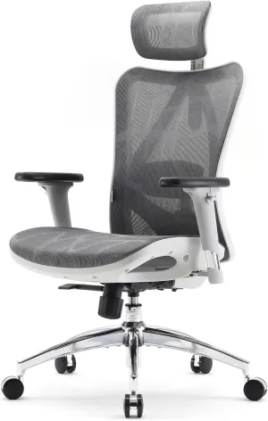 SIHOO M57 Ergonomic Office Chair with 3 Way Armrests Lumbar Support and Adjustable Headrest High Back Tilt Function Light Grey, M57-M114