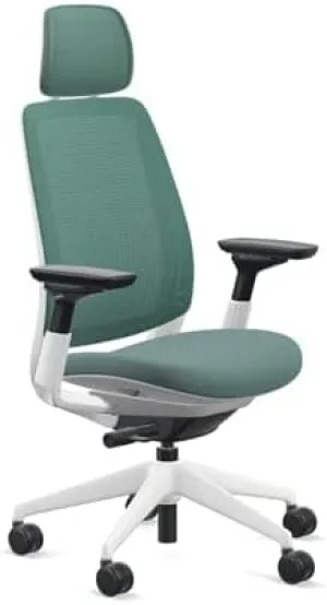 Steelcase Series 2 Office Chair with Headrest, Seagull Frame, Air Back and 3D Microknit Cogent Connect Peacock
