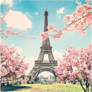 The Eiffel Tower Background Paris Cityscape Outdoor Vacation Theme Photography Backdrop Exquisite Leaves Green Grass Backdrops Travel Wedding Decor Lover Children Adults Studio Prop 10x8ft