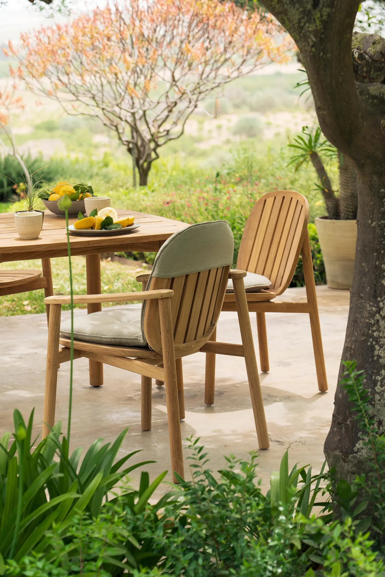 Twins - Alu-Teak chair
